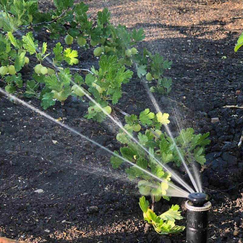 Монтаж систем полива